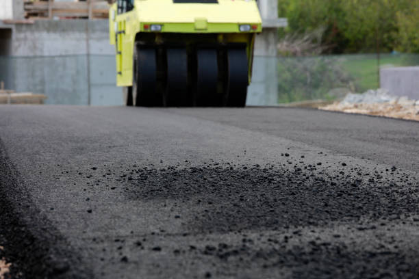 Best Custom Driveway Pavers  in Battle Mountain, NV