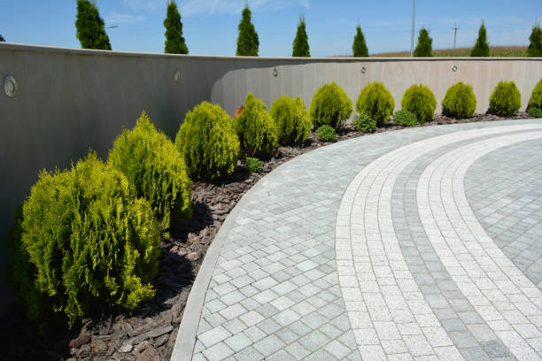 Best Driveway Pavers Near Me  in Battle Mountain, NV